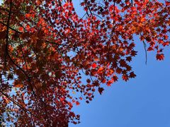 -丹东天桥沟景区