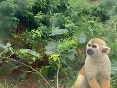 -石家庄市动物园