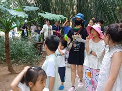 -三亚亚龙湾红树林度假酒店