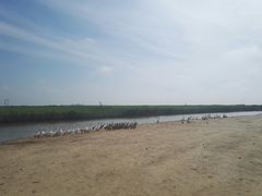 -东方华地城湿地温泉度假区