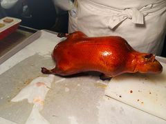 -秀儿四九城·新京菜(亚运村鸟巢店)