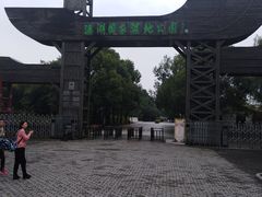 -溱湖国家湿地公园