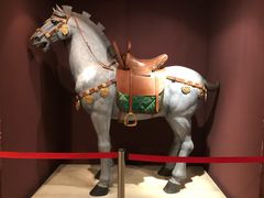 -西安大唐西市博物馆