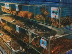 水产区-范饭椰林川湘味海鲜·椰子鸡(三亚湾椰梦长廊店)