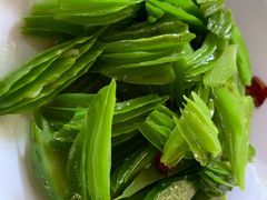 -晓雯人家