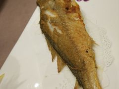-荣誉大酒店·荣誉海鲜酒楼(晋江电力店)