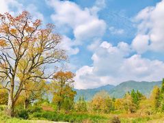 -塔川景区