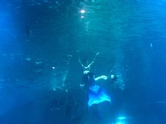 -福州罗源湾海洋世界旅游区