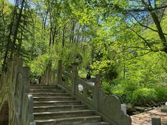-秦岭终南山世界地质公园翠华山景区