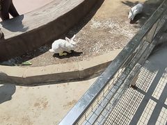-北戴河集发农业梦想王国