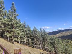 -莫尔道嘎国家森林公园