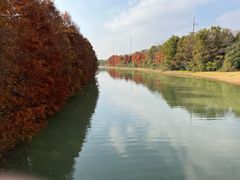 -上海海湾国家森林公园