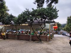 -满記土窑烧鷄波浪山莊