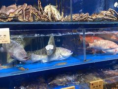 -鹊华居·地道鲁菜·海鲜·融合味(大明湖店)