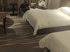 -国家会展中心上海洲际酒店