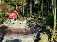 -江南天池高山汤泉城