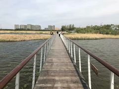 -哈尔滨大剧院