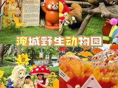 -常州淹城野生动物世界