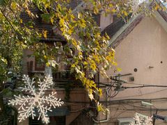 -蝶舍·MAISON PAPILLON