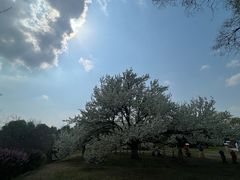 -沈阳植物园