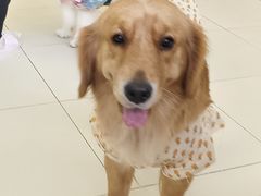 -怪兽屋·羊驼·猫咖·狗咖(俊华广场店)