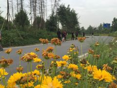 -白鹭湾湿地公园