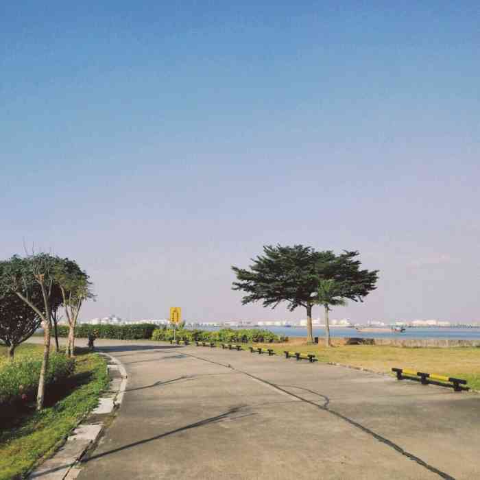 海鸥岛-"喜欢海鸥岛,这是情意结!我喜欢看海,但这."-大众点评移动版