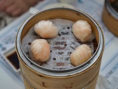 虾饺-点点心点心专门店(湾仔店)