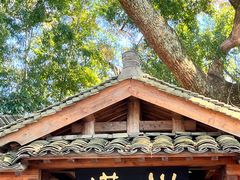 -塔川景区