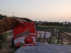 -小鱼草莓采摘园农家乐·小鱼餐厅