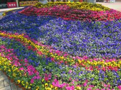 -哈尔滨文化公园