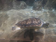 -福州罗源湾海洋世界旅游区