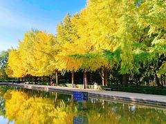-玲珑塔公园