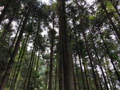 -公盂村