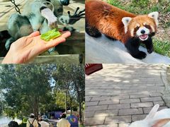 -水上乐园·欢乐世界