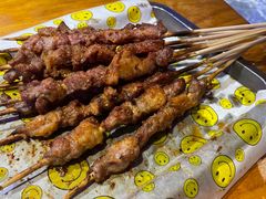 招牌红柳羊肉串-新疆烧烤王(广灵店)
