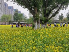 -长白岛森林公园