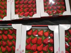 -T11生鲜超市(朝阳公园店)