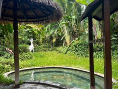 -碧桂园润杨溪谷温泉酒店