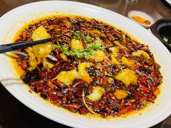 沸腾鱼片-有璟阁港式餐厅(国贸商城店)