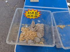 -中环花鸟鱼虫市场