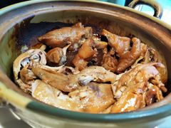 土鸡煲猪手-麓湘小镇(开福万达广场店)