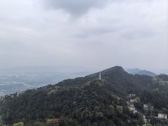 -大金鹰园
