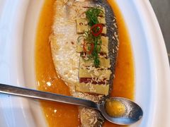 长江鲜鲥鱼秘汁蒸-南苑环球酒店云顶高级中餐厅(鄞县大道店)