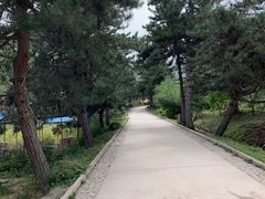 -官滩沟风景区