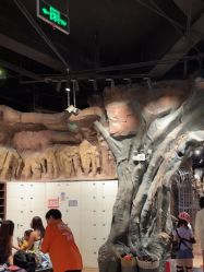 -探洞工场(丰科万达旗舰店)