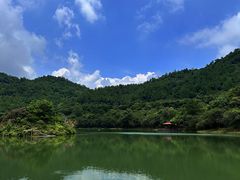 -广州白江湖森林公园