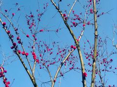 -白鹭湾湿地公园