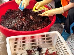 -霸王虾·麻辣小龙虾(清水河公园店)