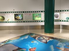 -上海昆虫博物馆